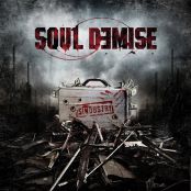 Soul Demise - Sindustry - 26.11.2010 - Remission Records - 34:56 min 01. Deathless 02. The Pawn 03. Cerebral Tumor 04. World Without Conscience 05. Indifference 06. Nature‘s Bullheads 07. Rupture 08. Torn Apart 09. Try To Remember 10. Nodule Of The Beauty